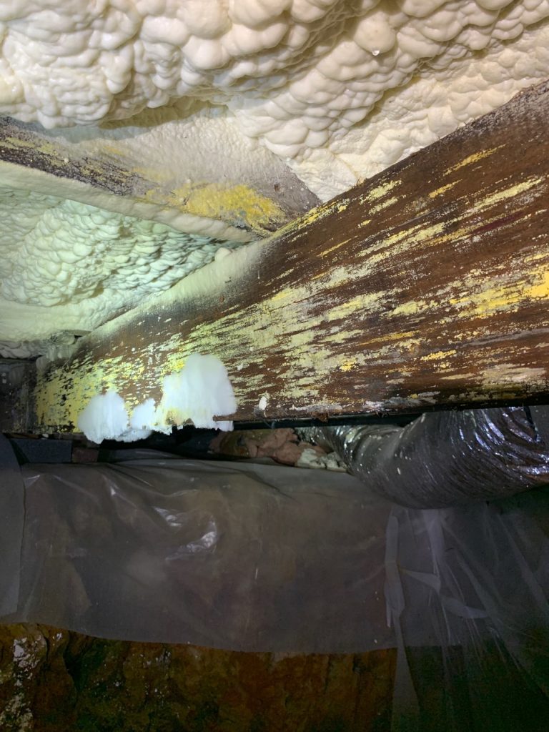 Mold Testing Kingsport TN 1
