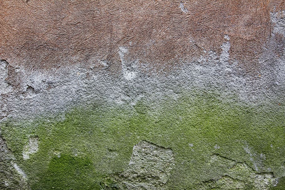 concrete wall texture green